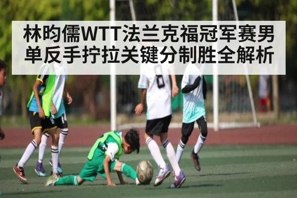 林昀儒WTT法兰克福冠军赛男单反手拧拉关键分制胜全解析